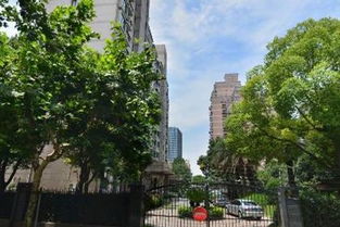 上海杨浦区五角场日用杂品经营部地址查询与周边指引