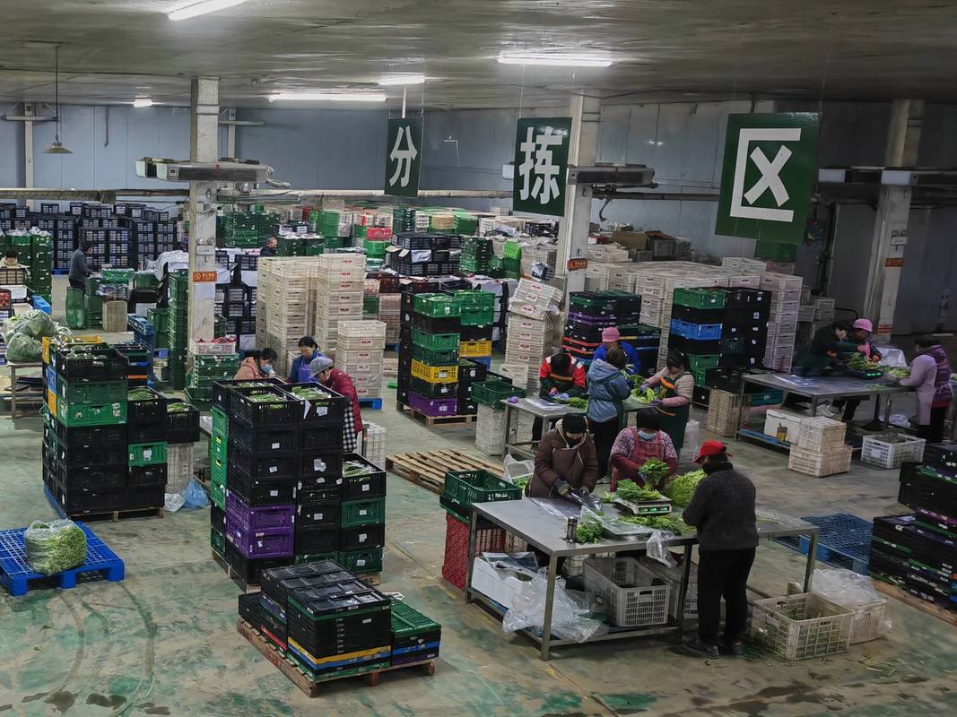洪涛教授报告 农产品电商七大'死穴'，谁在买单？